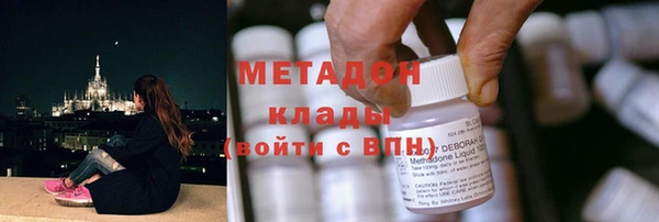 прущие грибы Дмитровск