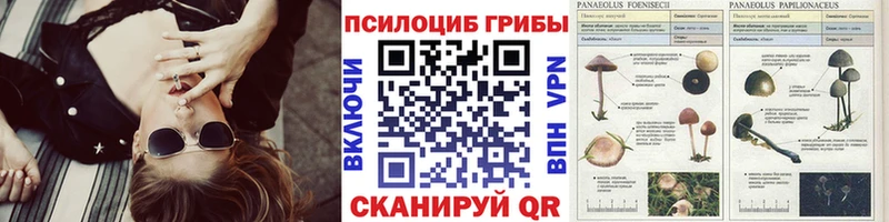 Псилоцибиновые грибы Cubensis  MEGA ссылки  Новоалександровск 