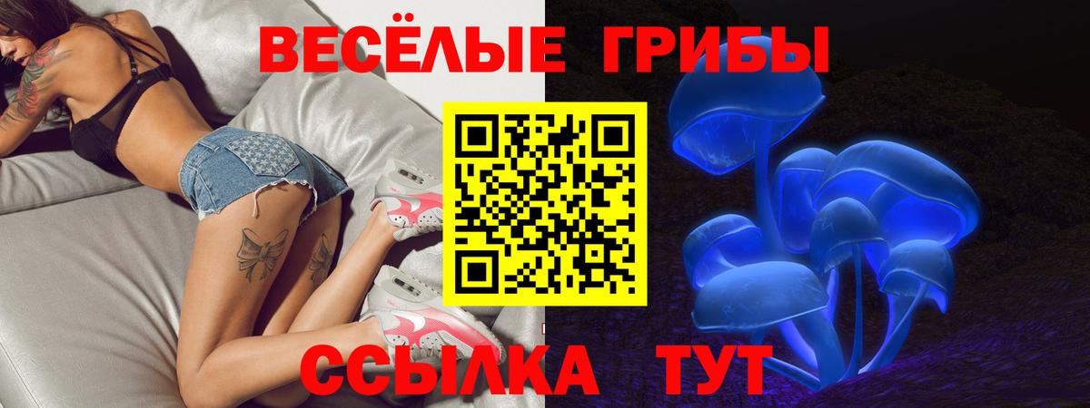 что такое   Псилоцибиновые грибы прущие грибы  Вход с VPN  Новоалександровск 