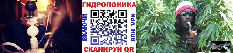 сколько стоит  Новоалександровск  ОМГ ОМГ маркетплейс  Бошки марихуана AK-47 